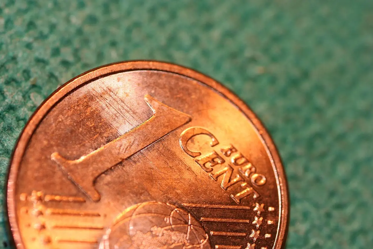 What are Bass Pro card fees?