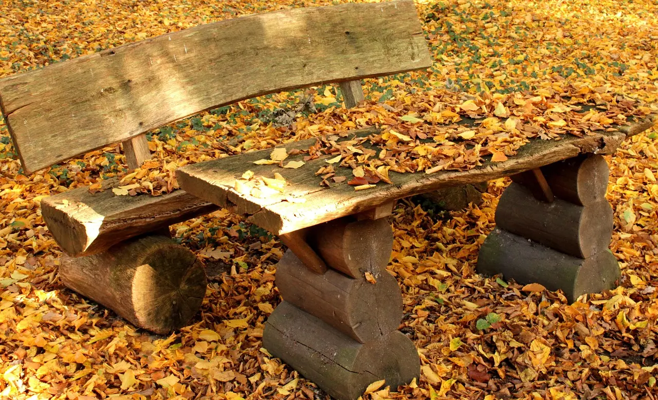 Is Gold Royal Trust Credit Card worth it?