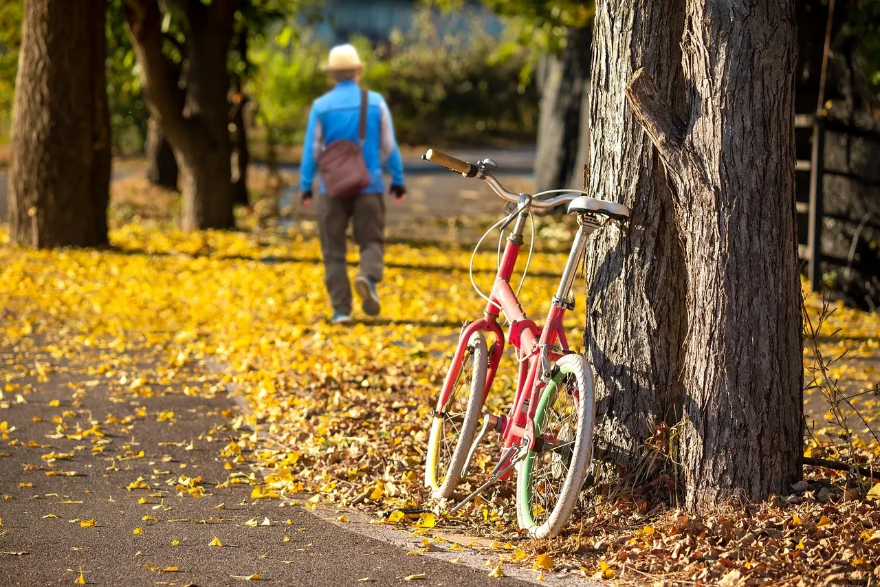 What is Gold Royal Trust Credit Card APR?