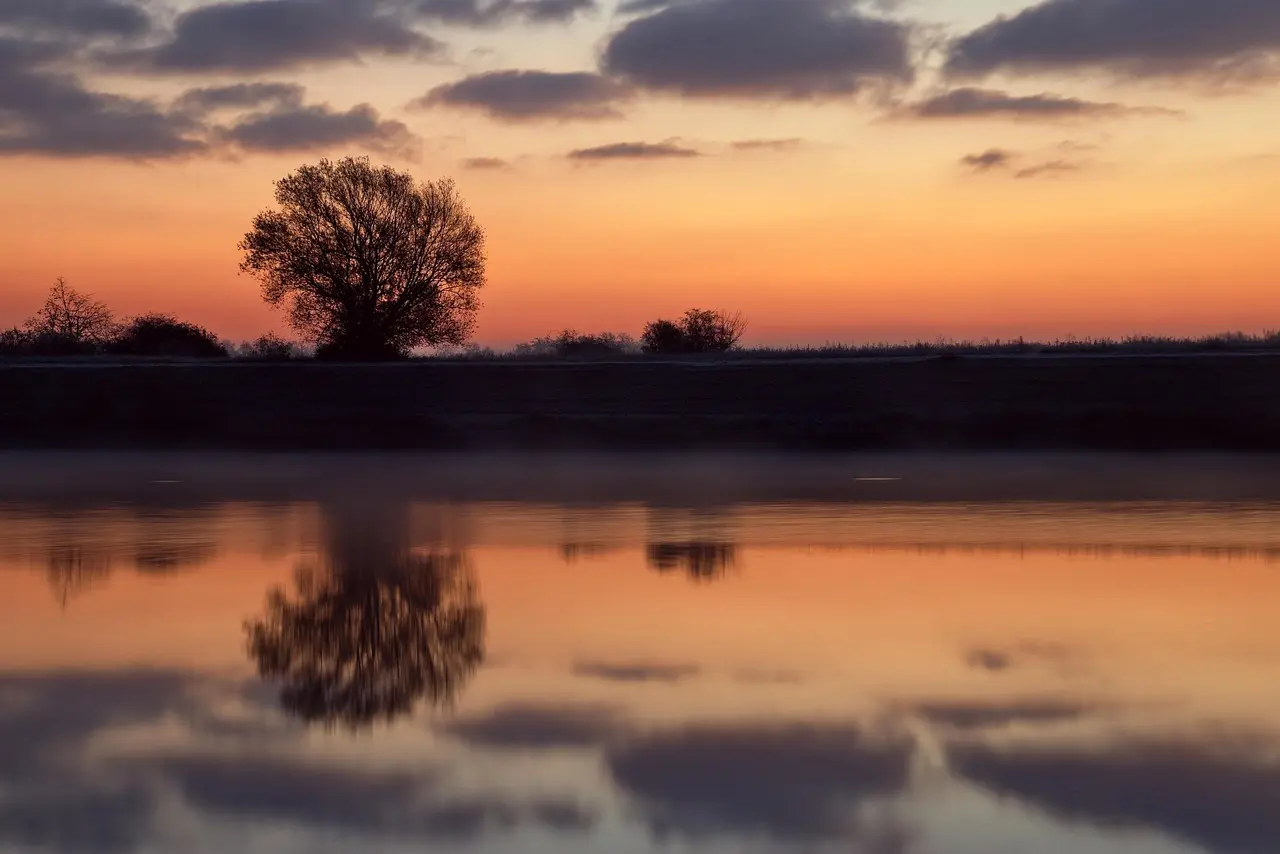 Square fee changes over time