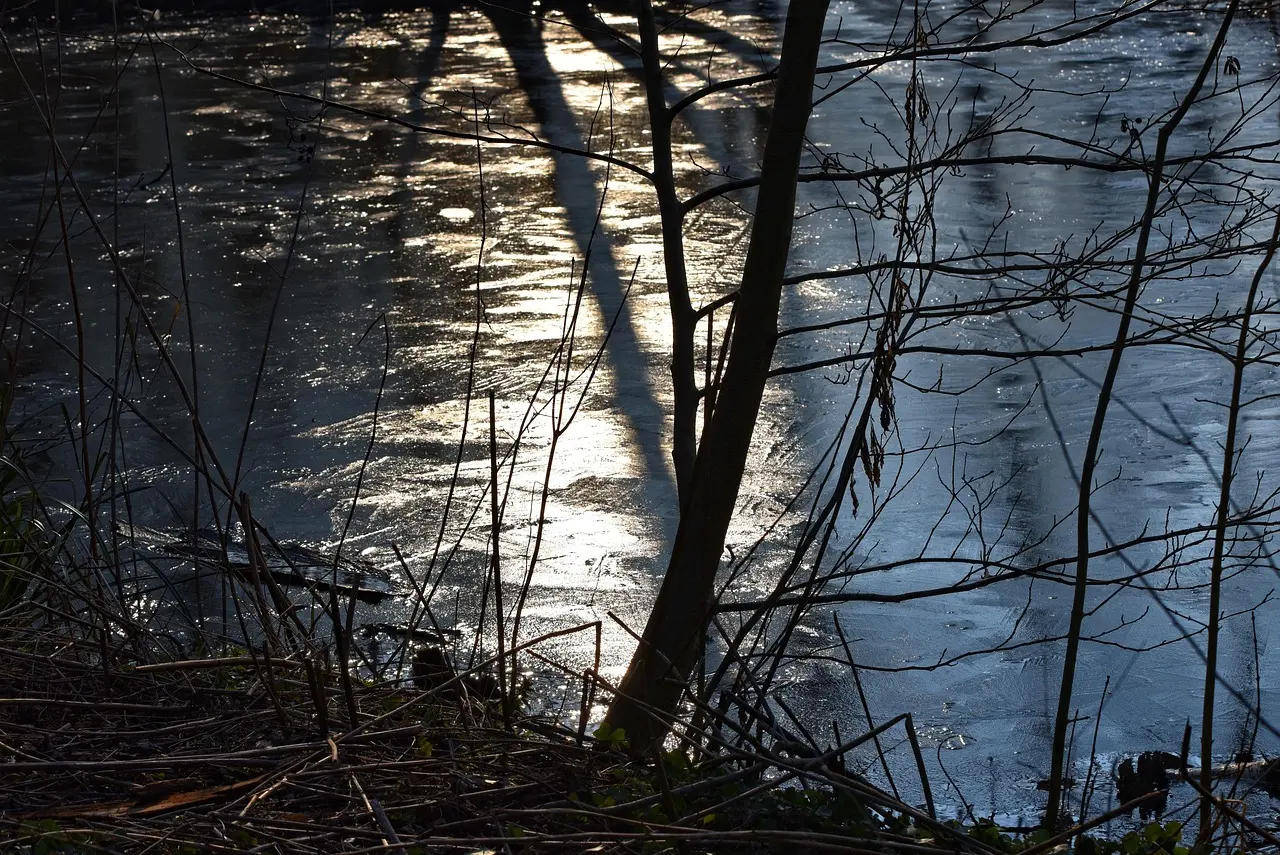 Square fees for different business types