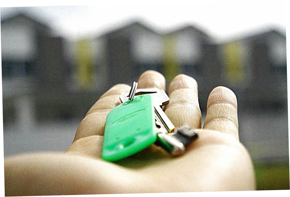 Comparing annual fees versus rewards for realtor cards