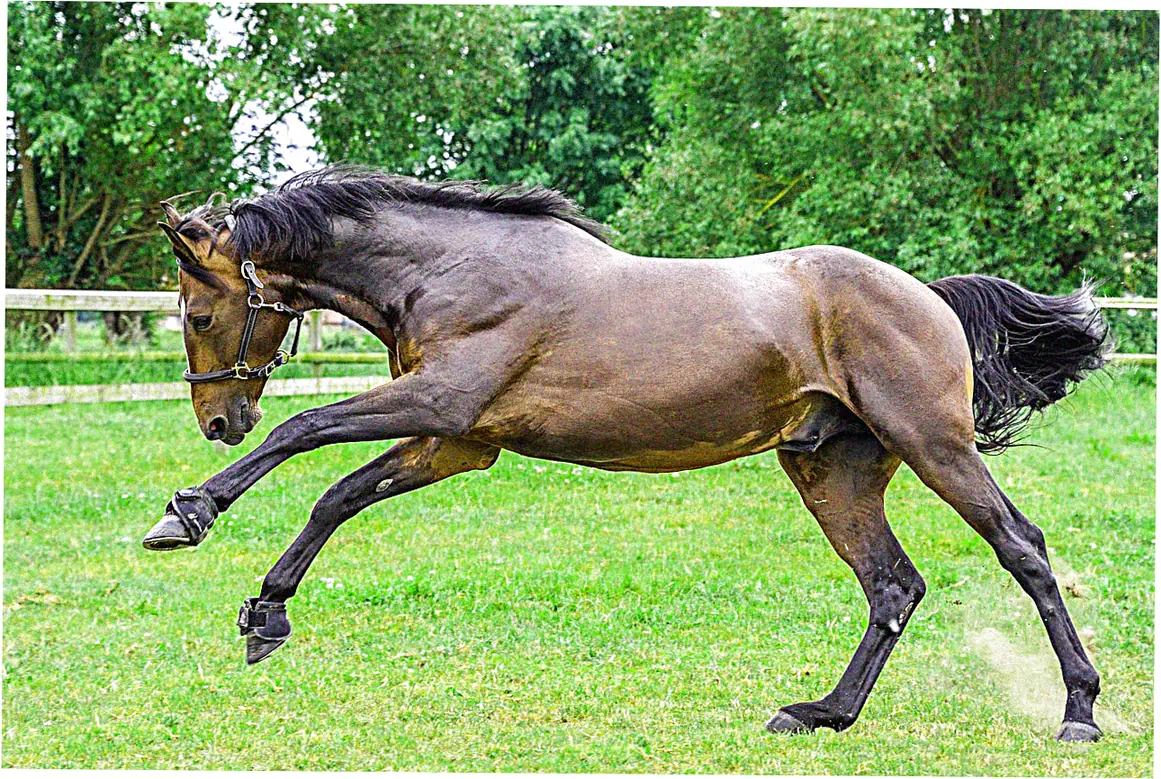 Let's compare pre-qualification across different card types.