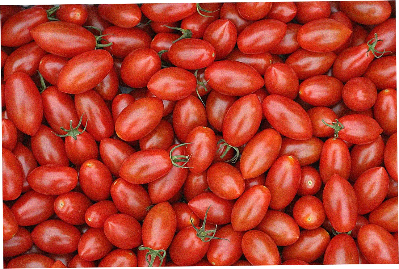 Credit Score Requirements Analysis