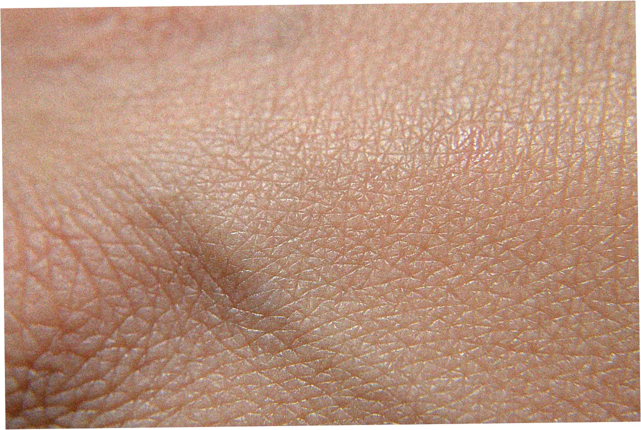 Amazon credit card daily spending limit