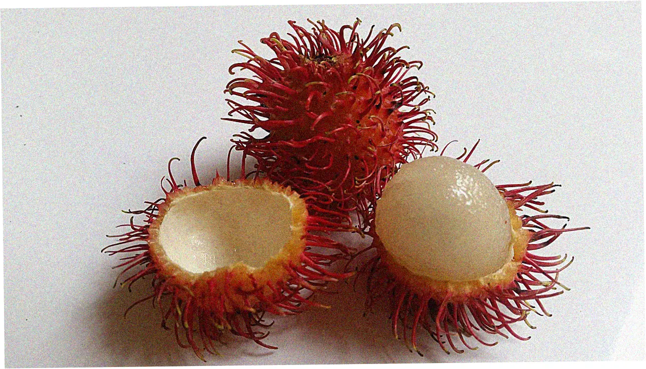 Let's talk about how balance transfers affect your credit and finances over time