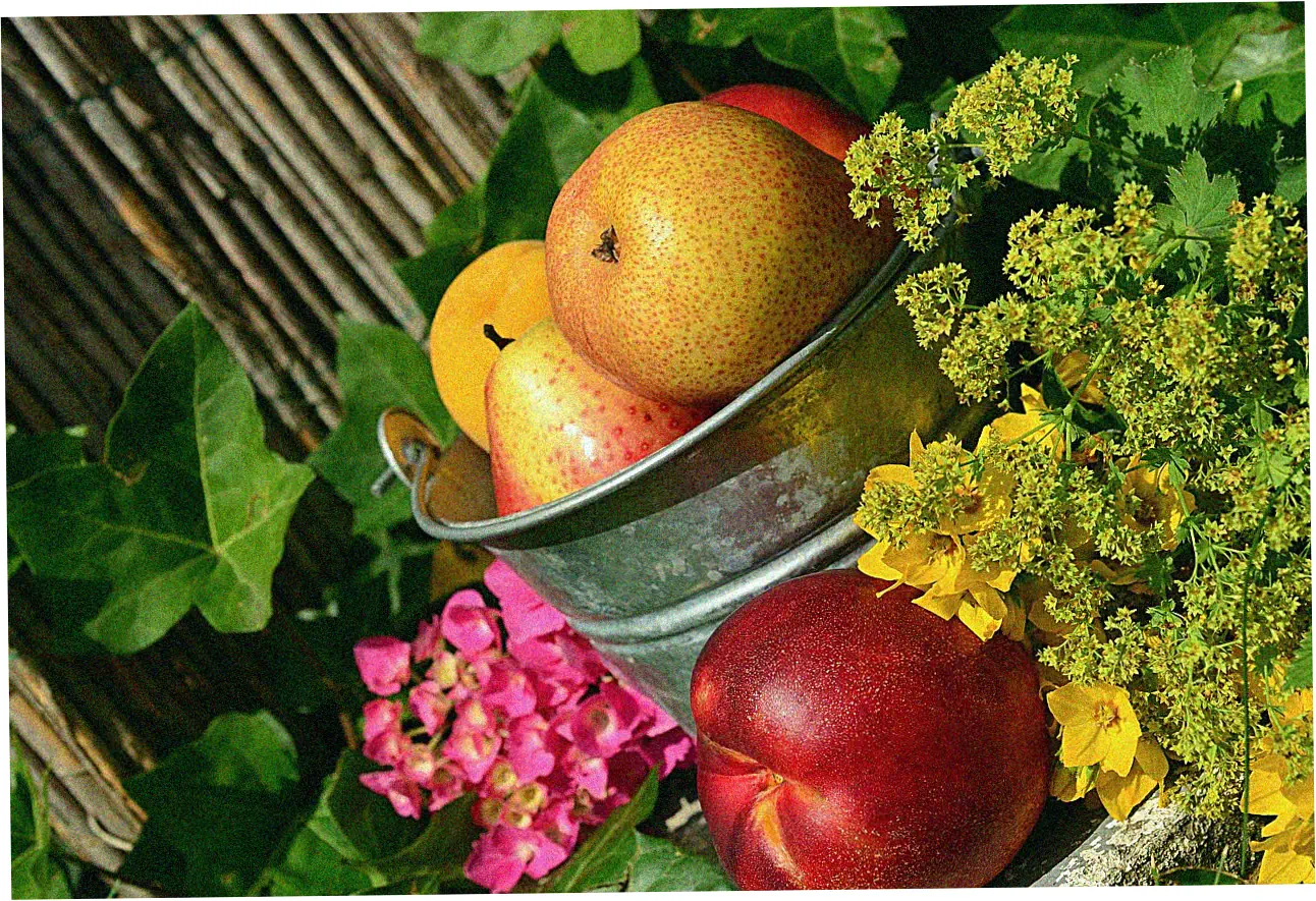 balance transfer definition