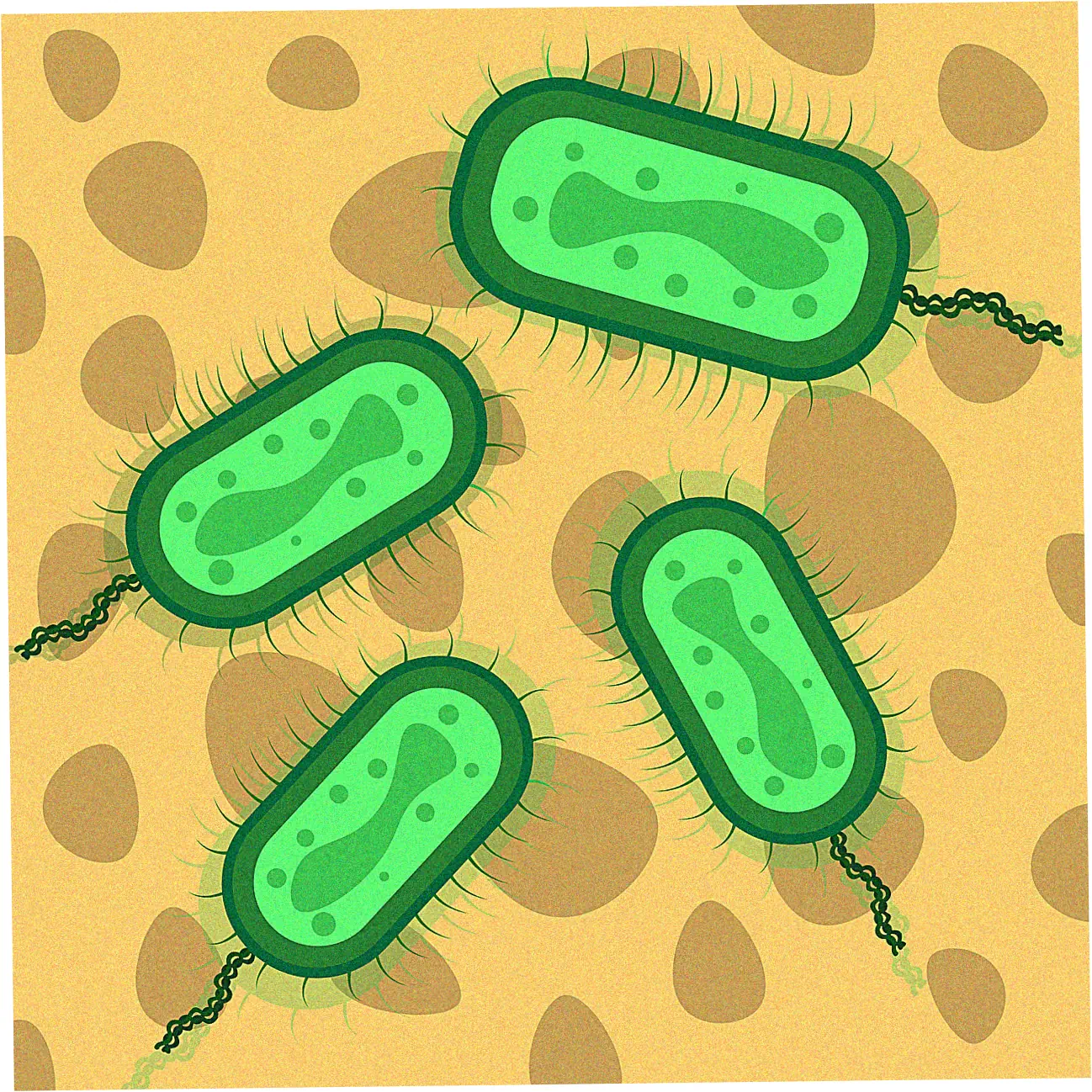 Card Features and Financial Benefits