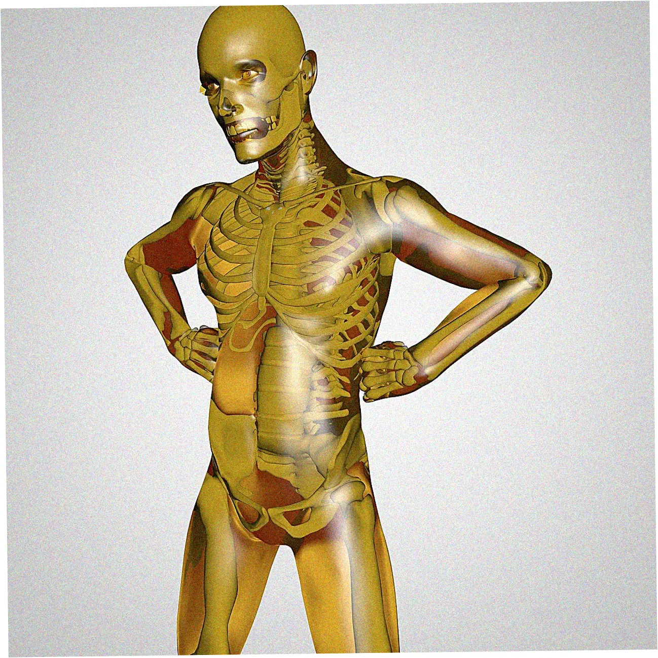 Application Process and Approval Requirements