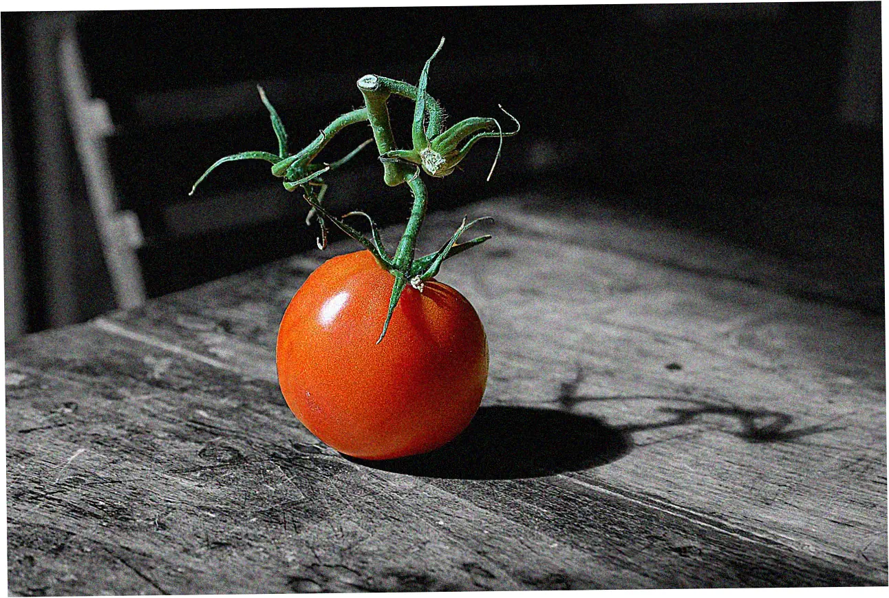 Balance Transfer Pros and Cons