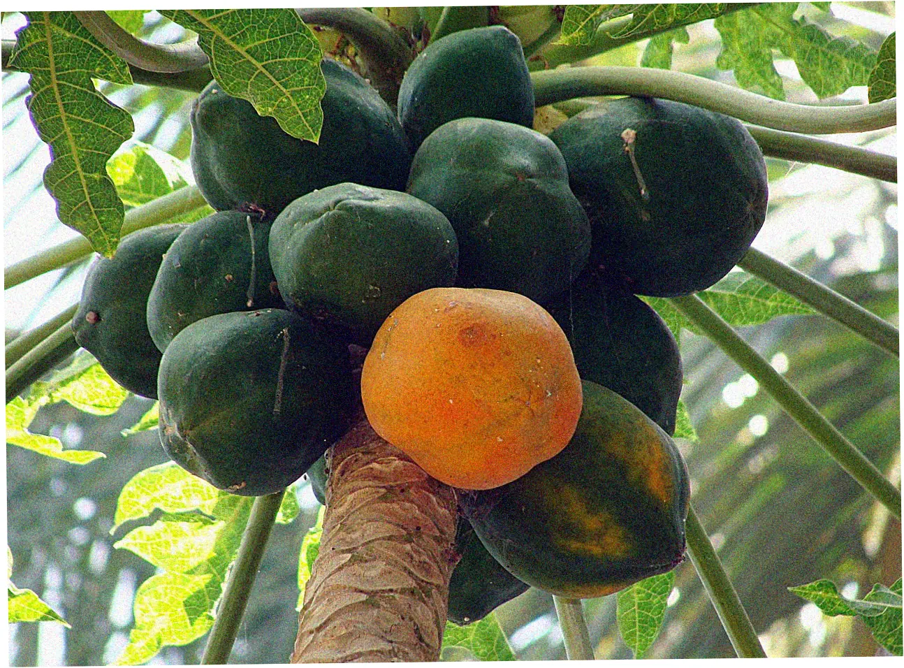 Let's talk about smart ways to apply