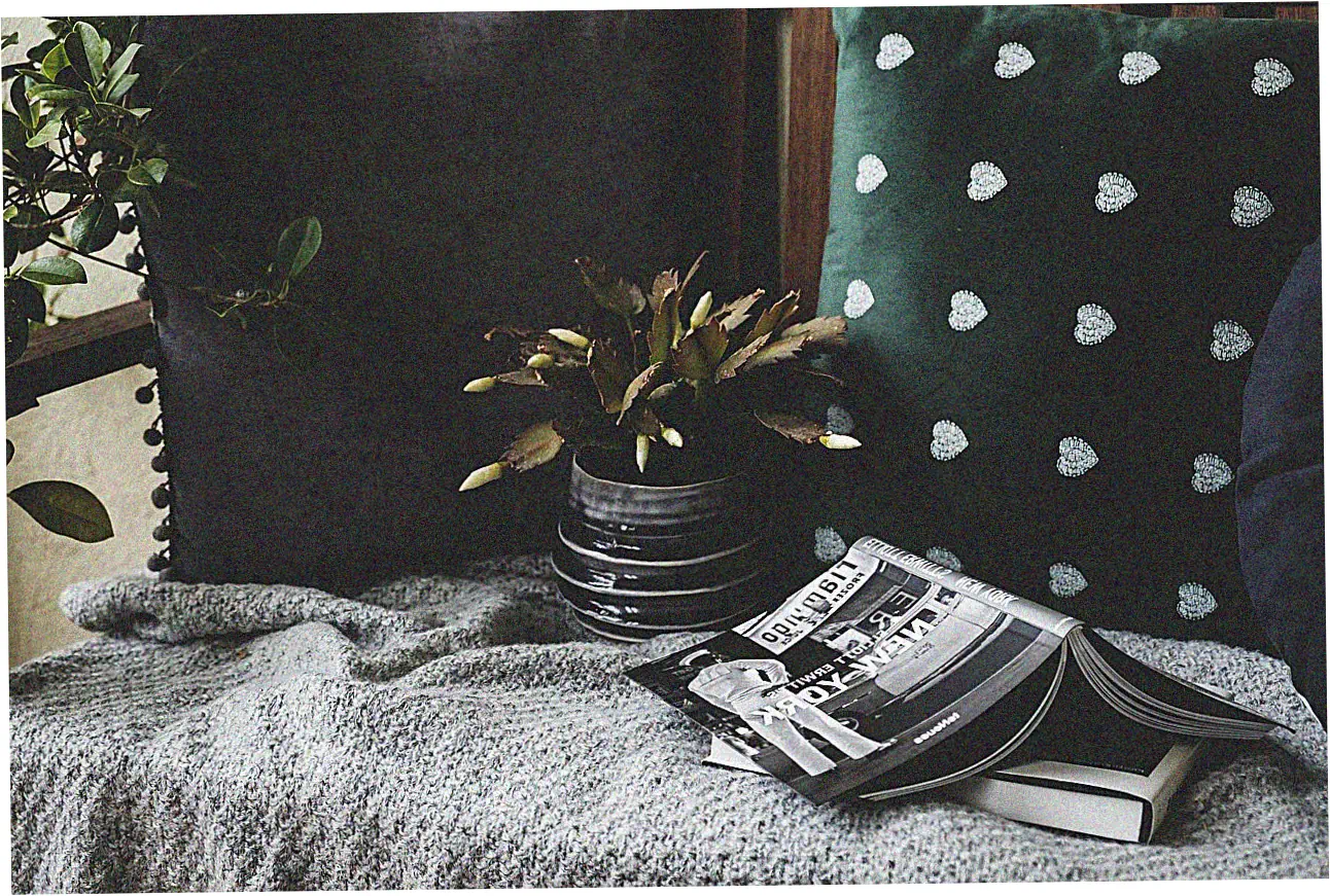 How Credit Card Companies Determine Your APR