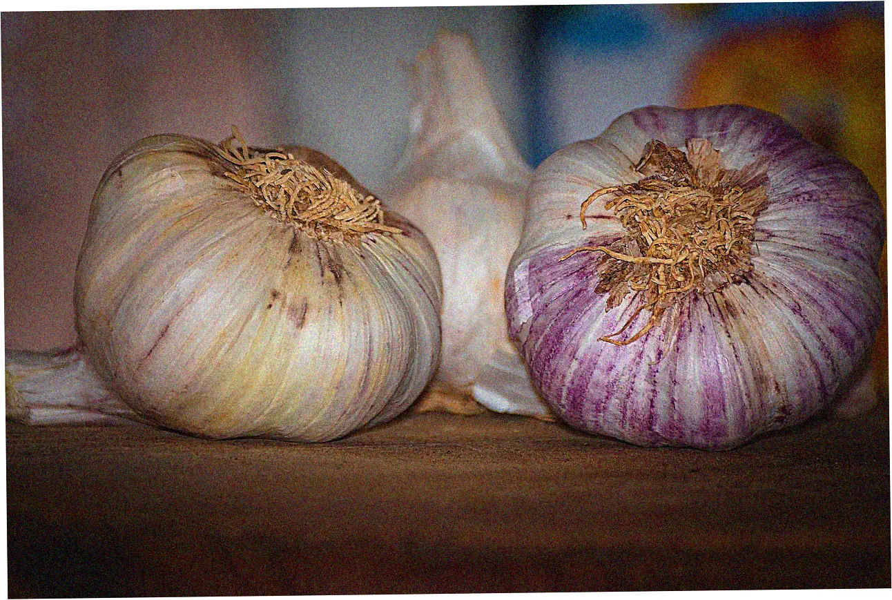 Due Dates and Payment Timing