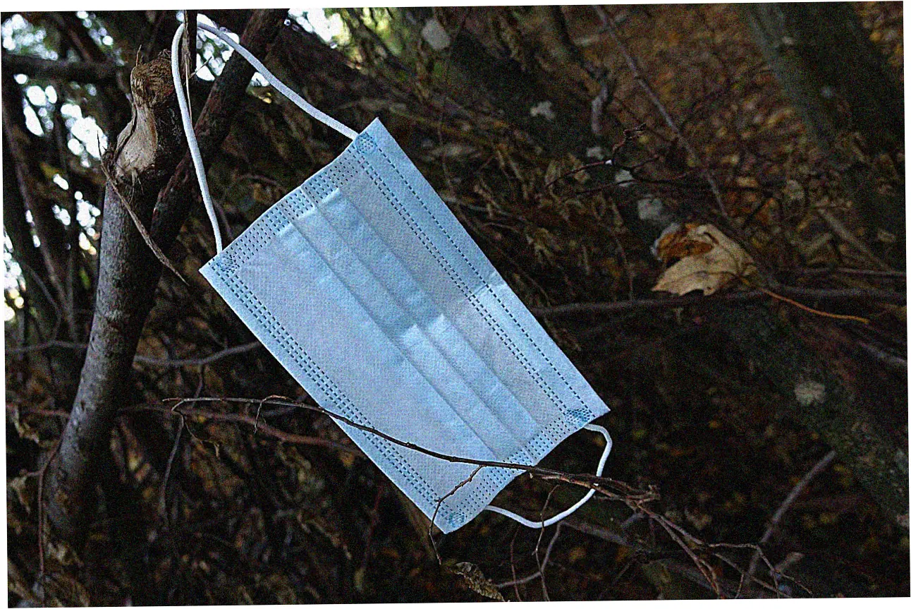 Submission Process and Immediate Next Steps