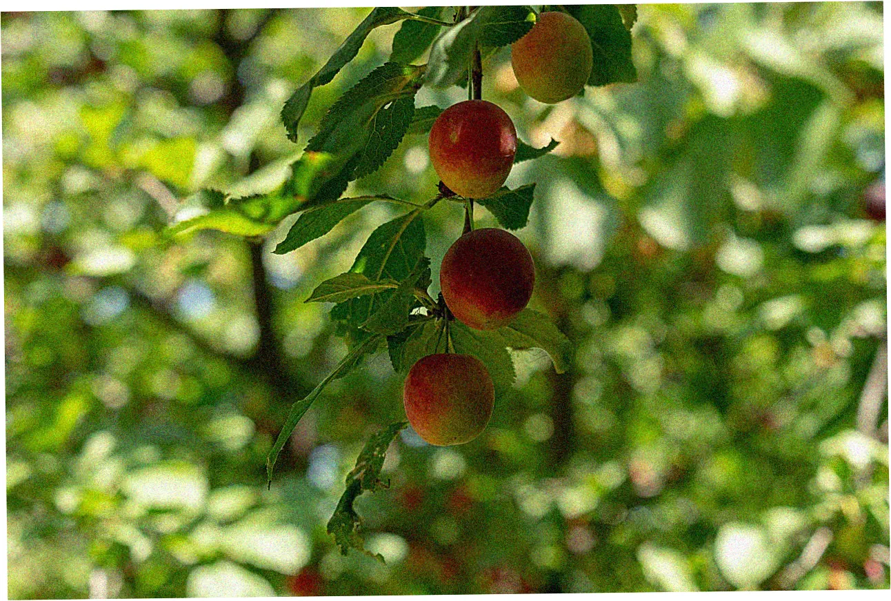 Why the number of digits in credit cards really matters