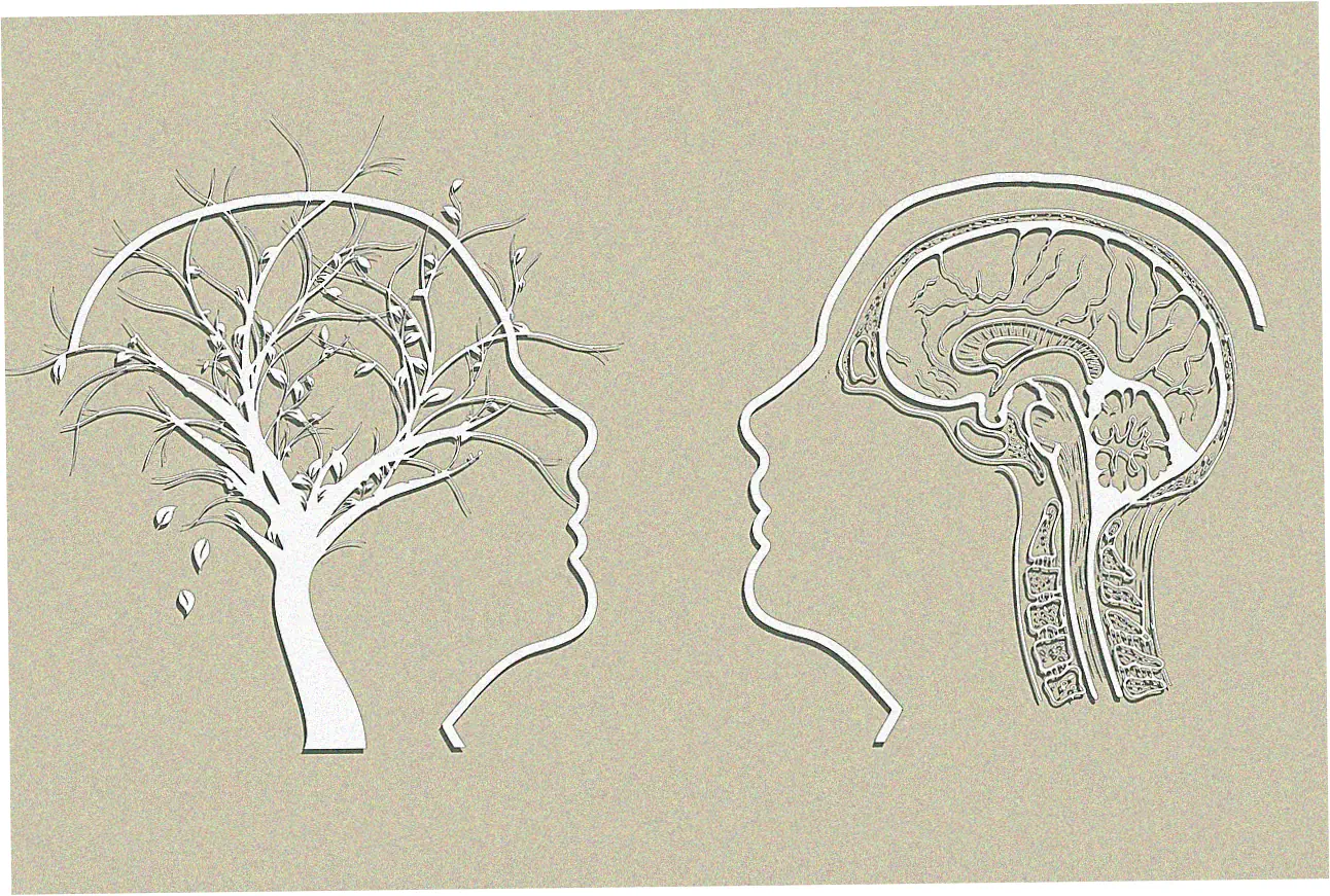 Here's how to apply and what you'll need