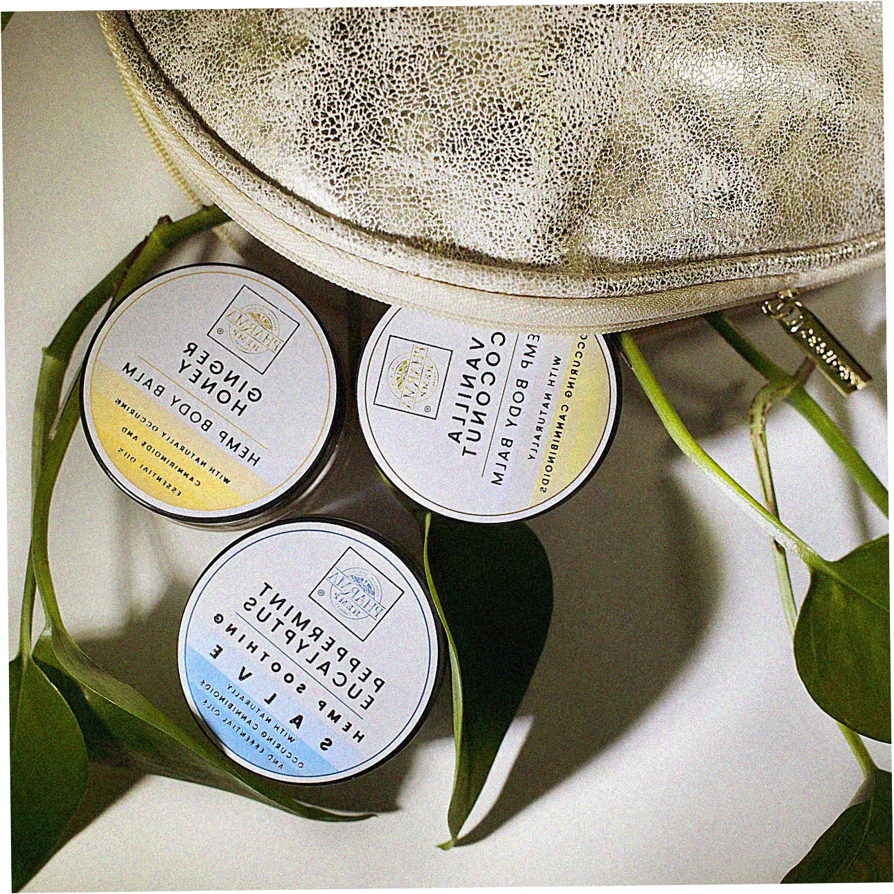 Understanding Credit Score Impact