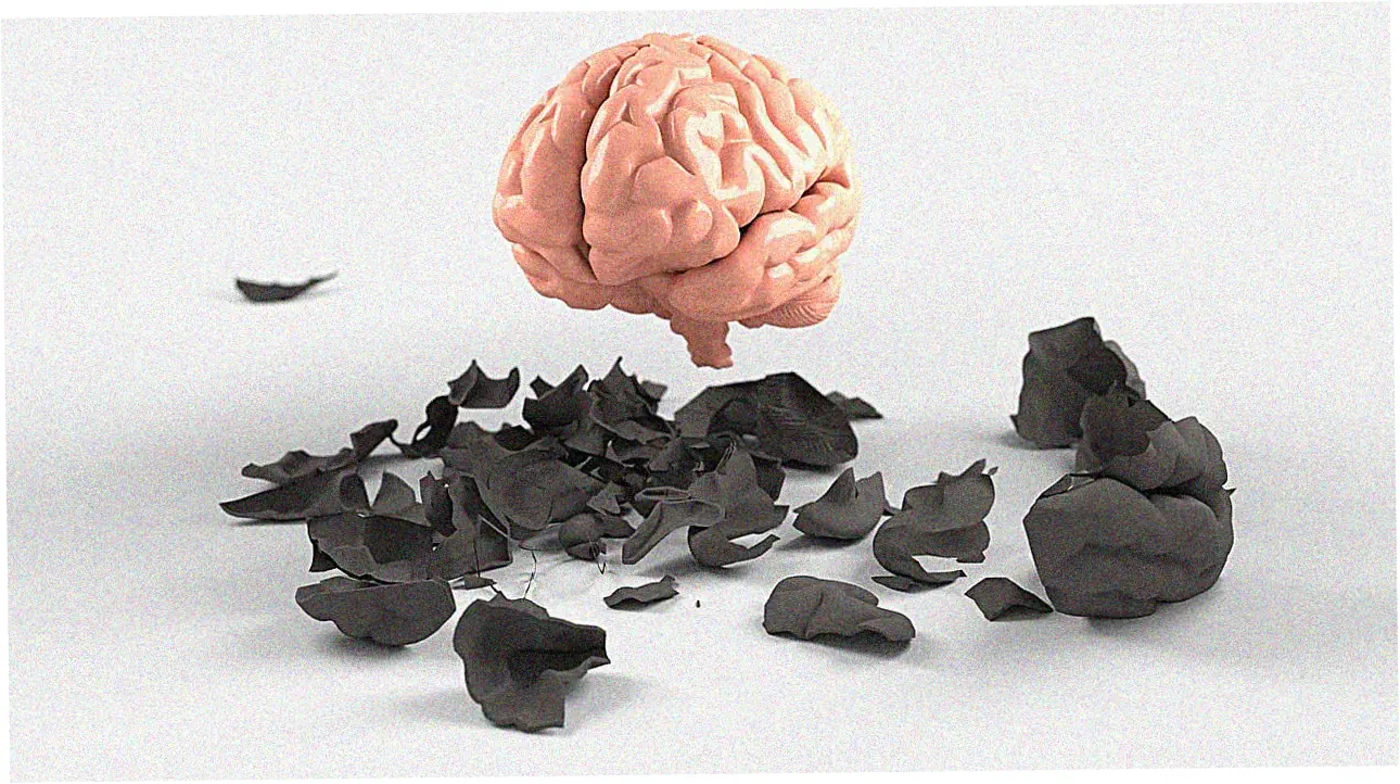 Specialized Services and Security Features