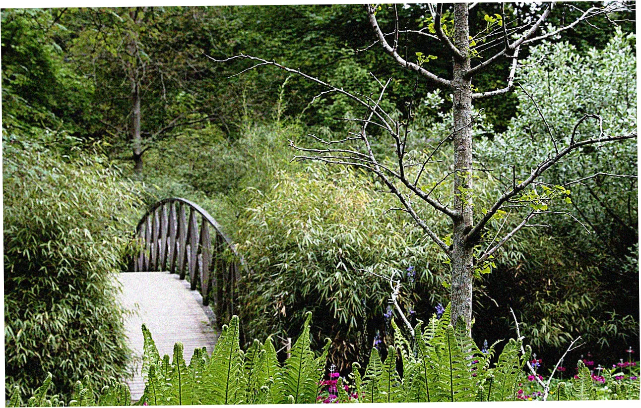 Let's talk about how to handle and lower your credit card APR