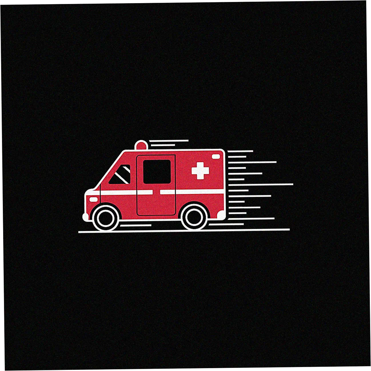 Submission Process and Immediate Next Steps