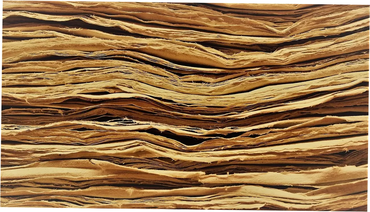 Variations and Exceptions in Card Digit Counts