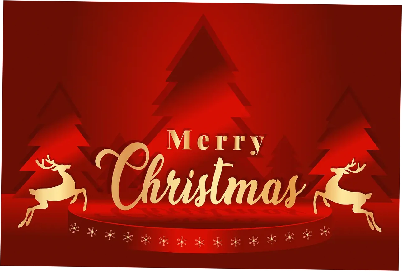 Potential Drawbacks and User Concerns