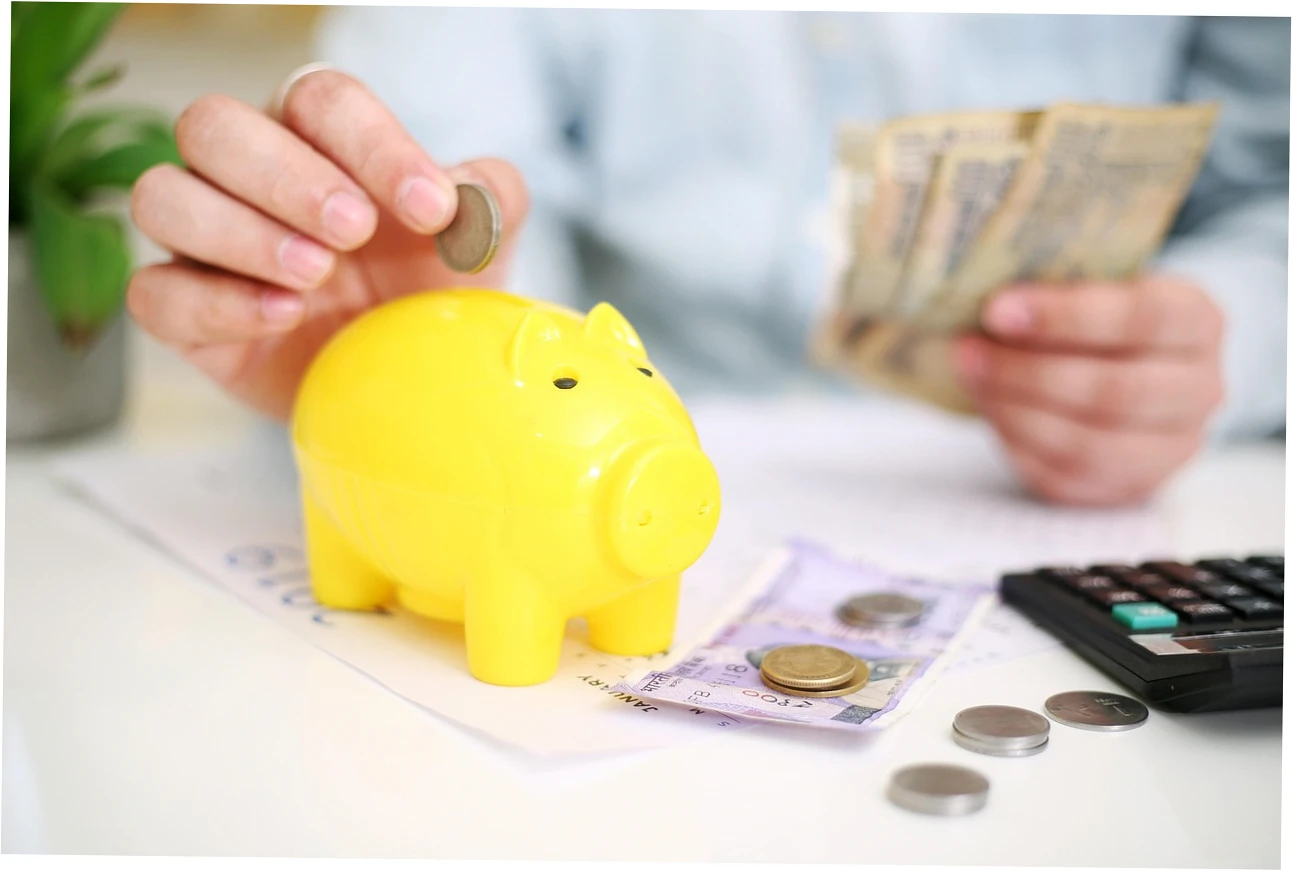 no annual fee credit cards